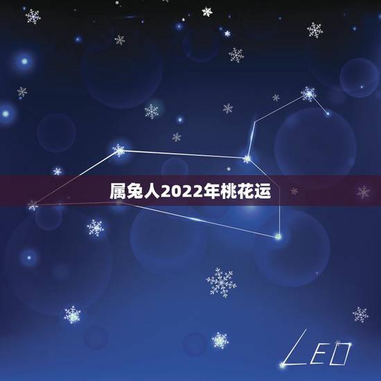 属兔人2022年桃花运，属兔2022年运势及运程
