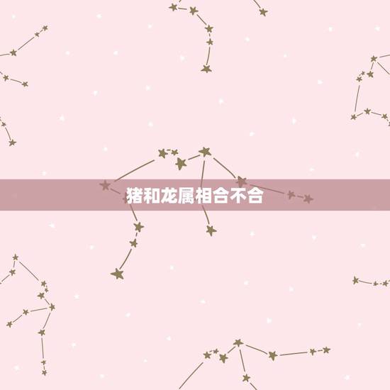 猪和龙属相合不合,猪和龙属相合不合夫妻 猪和龙属相合不合,猪和龙属相合不合夫妻