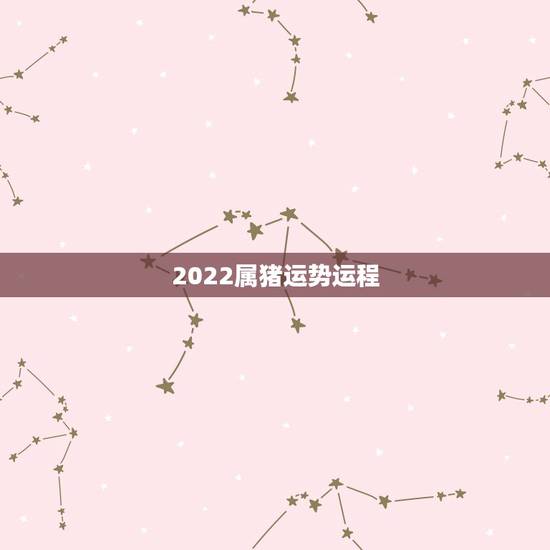 2022属猪运势运程，1971年大金猪在2022年虎年运程如何？