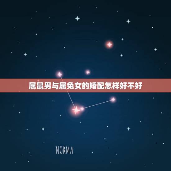 属鼠男与属兔女的婚配怎样好不好,男属鼠和女属兔,相配吗? 属鼠男与属兔女的婚配怎样好不好,男属鼠和女属兔,相配吗?