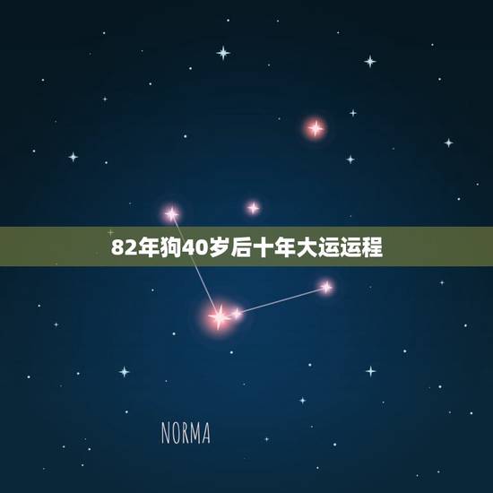 82年狗40岁后十年大运运程,我是82年属狗的问13年运程如何 82年狗40岁后十年大运运程,我是82年属狗的问13年运程如何