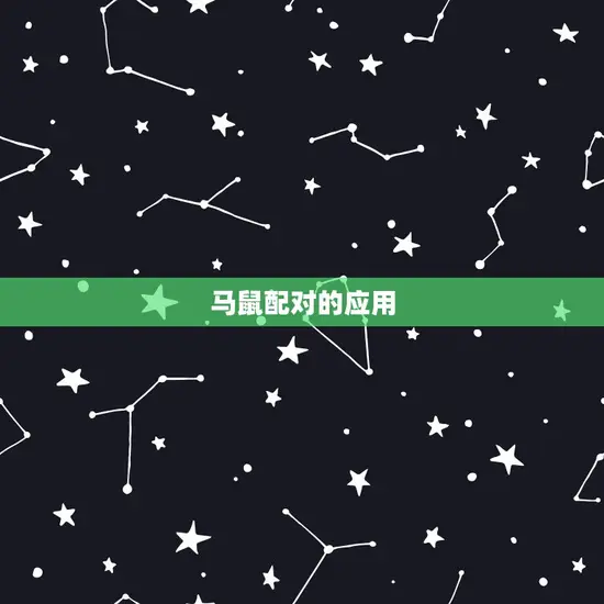 马鼠配对的应用