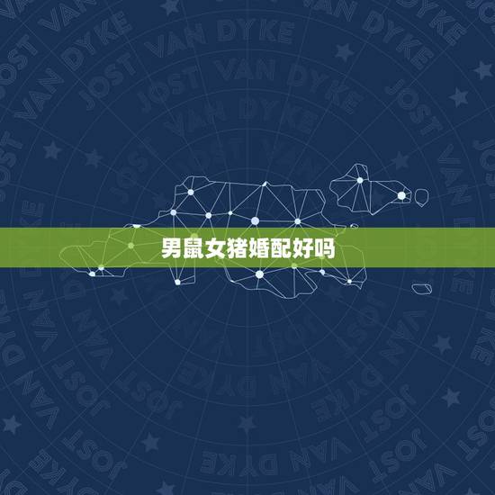 男鼠女猪婚配好吗,96鼠95猪结婚好不好 男鼠女猪婚配好吗,96鼠95猪结婚好不好