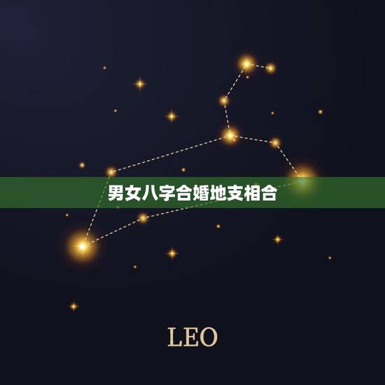 男女八字合婚地支相合，八字合婚年月日时都合好吗