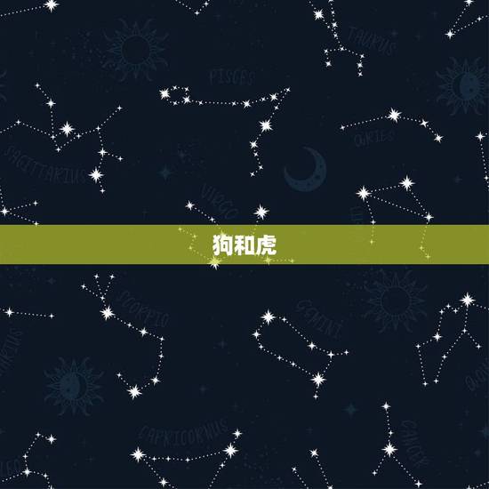 狗和虎，狗和虎好吗？