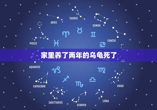 家里养了两年的乌龟死了,家里养的乌龟死了代表什么 家里养了两年的乌龟死了,家里养的乌龟死了代表什么