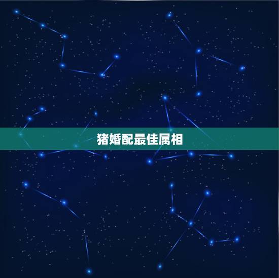 猪婚配最佳属相，属猪的和什么属相最配