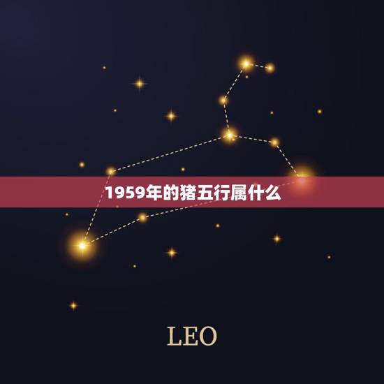1959年的猪五行属什么,一九九六年属猪什么五行 1959年的猪五行属什么,一九九六年属猪什么五行