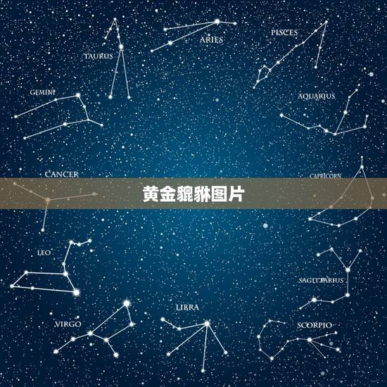 黄金貔貅图片，黄金貔貅可以带吗