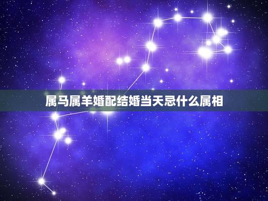 属马属羊婚配结婚当天忌什么属相,属羊得结婚忌讳什么属相 属马属羊婚配结婚当天忌什么属相,属羊得结婚忌讳什么属相