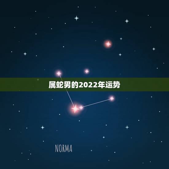 属蛇男的2022年运势,属蛇未来5年运势走向 属蛇男的2022年运势,属蛇未来5年运势走向