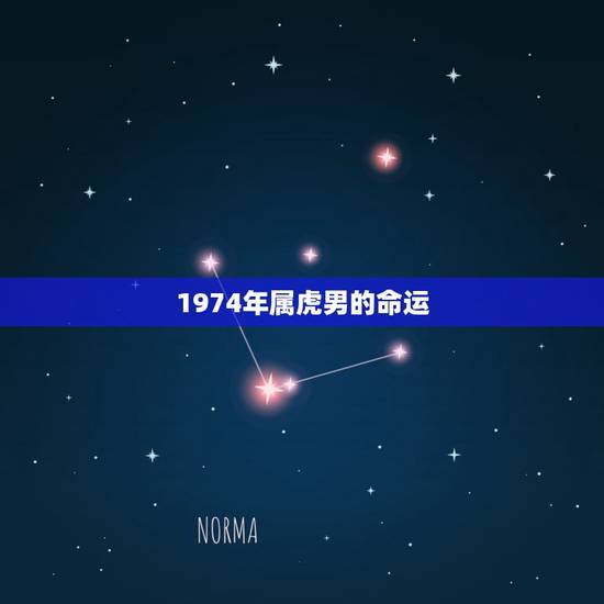 1974年属虎男的命运,74年农历10初4属虎男婚姻命运 1974年属虎男的命运,74年农历10初4属虎男婚姻命运
