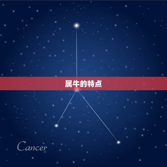 属牛的特点 属牛的特点