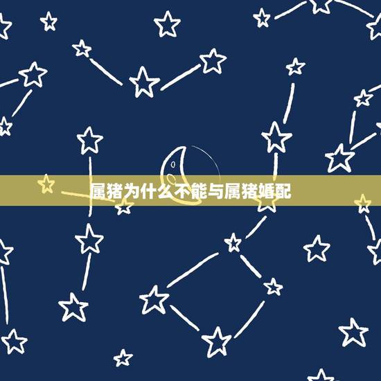 属猪为什么不能与属猪婚配，属猪与属猪婚配如何？