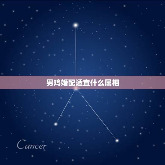 男鸡婚配适宜什么属相，属鸡男和什么属相最配？