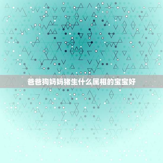 爸爸狗妈妈猪生什么属相的宝宝好，爸爸属狗，妈妈属猪，生个属什么的BB好