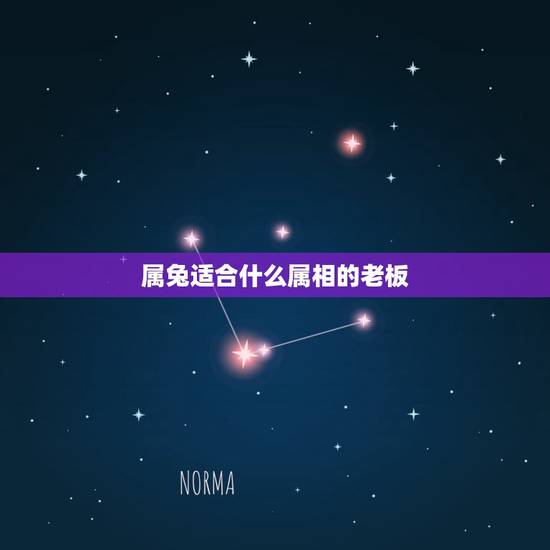 属兔适合什么属相的老板，属兔和什么属相做生意合财