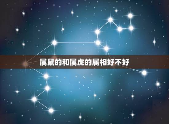 属鼠的和属虎的属相好不好，属鼠和属虎相配吗？