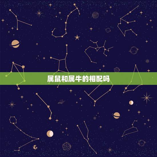 属鼠和属牛的相配吗,属鼠和属牛相配吗 属鼠和属牛的相配吗,属鼠和属牛相配吗