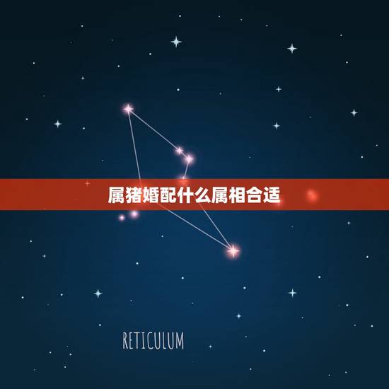 属猪婚配什么属相合适，男属猪的和什么属相最配