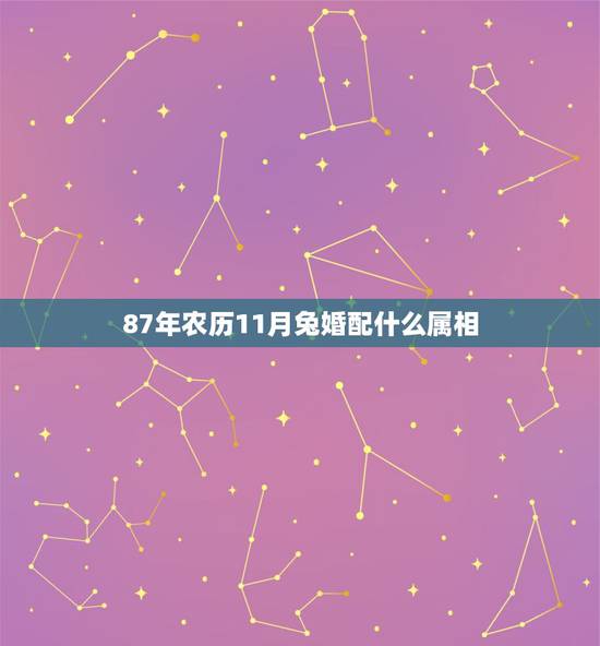 87年农历11月兔婚配什么属相，男87年11月属兔的和什么属相最配