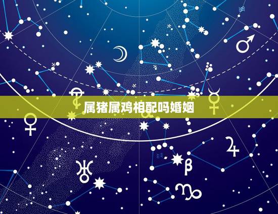 属猪属鸡相配吗婚姻，属鸡和属猪的婚姻配吗