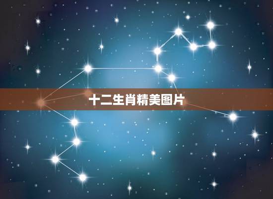 十二生肖精美图片，十二生肖高清415687360