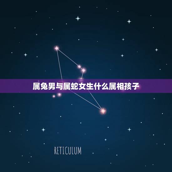 属兔男与属蛇女生什么属相孩子，男属兔女属蛇生什么属相的孩子好