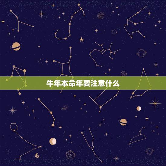 牛年本命年要注意什么,属牛人本命年要注意什么 牛年本命年要注意什么,属牛人本命年要注意什么