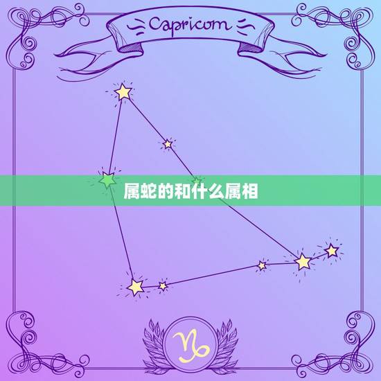 属蛇的和什么属相,属蛇和属什么的合适 属蛇的和什么属相,属蛇和属什么的合适