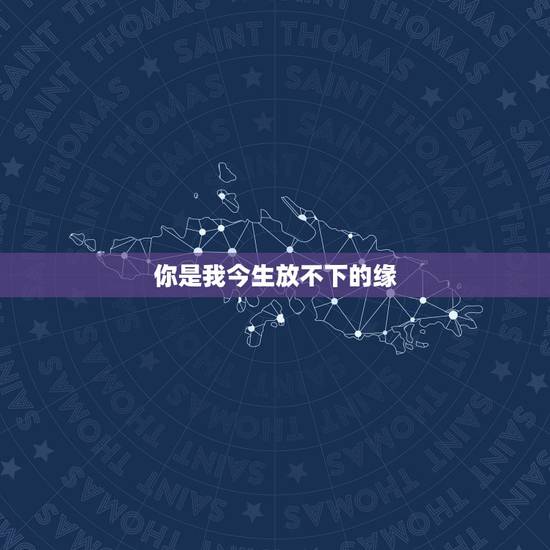 你是我今生放不下的缘，缘来缘去都是放不下的你是什么歌
