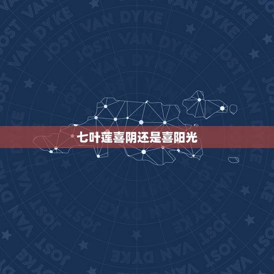 七叶莲喜阴还是喜阳光,观音莲喜阳还是喜阴? 七叶莲喜阴还是喜阳光,观音莲喜阳还是喜阴?