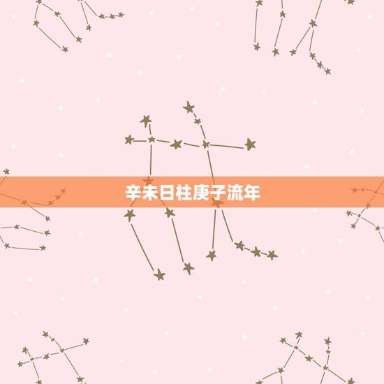 辛未日柱庚子流年,己未年乙亥月庚子日 辛未日柱庚子流年,己未年乙亥月庚子日