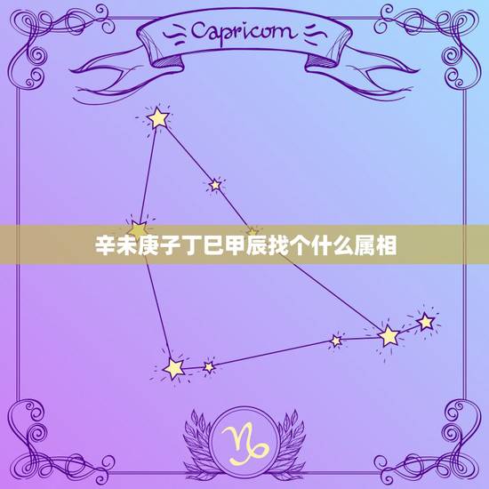 辛未庚子丁巳甲辰找个什么属相,男,辛未 庚子 戊辰 丁巳请真正懂八字的 辛未庚子丁巳甲辰找个什么属相,男,辛未 庚子 戊辰 丁巳请真正懂八字的