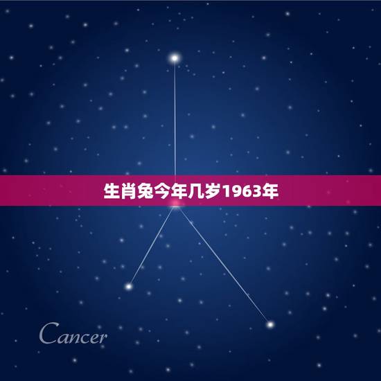 生肖兔今年几岁1963年,1963至2022多少岁 生肖兔今年几岁1963年,1963至2022多少岁