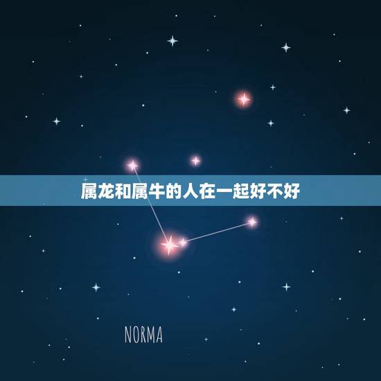属龙和属牛的人在一起好不好，生肖龙和生肖牛能在一起吗