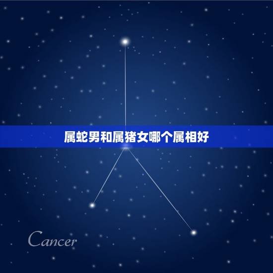 属蛇男和属猪女哪个属相好,龙和蛇相配婚姻如何 属蛇男和属猪女哪个属相好,龙和蛇相配婚姻如何