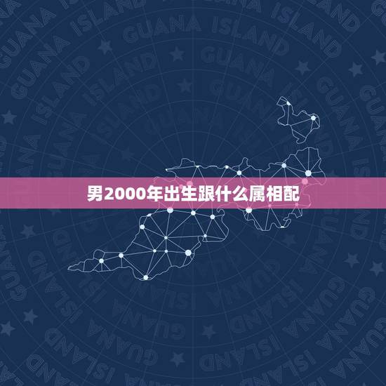 男2000年出生跟什么属相配，2000年属龙男孩的和属什么的比较配
