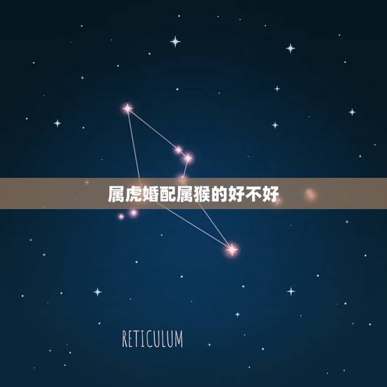 属虎婚配属猴的好不好,生肖属虎的和属猴的可以结婚吗?好不好 属虎婚配属猴的好不好,生肖属虎的和属猴的可以结婚吗?好不好