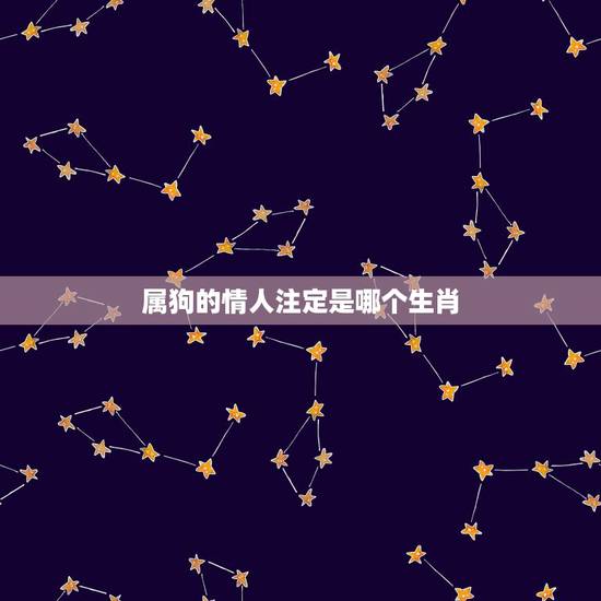 属狗的情人注定是哪个生肖,12生肖婚姻匹配 属狗的情人注定是哪个生肖,12生肖婚姻匹配