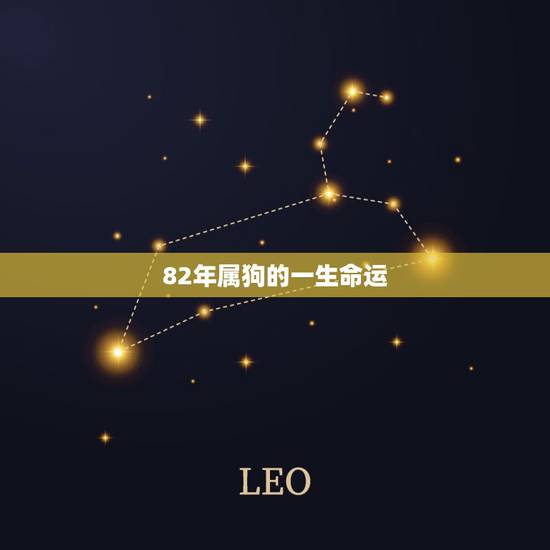 82年属狗的一生命运,82属狗女39岁大劫 82年属狗的一生命运,82属狗女39岁大劫