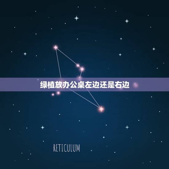 绿植放办公桌左边还是右边，如何正确的在办公桌摆放风水植物