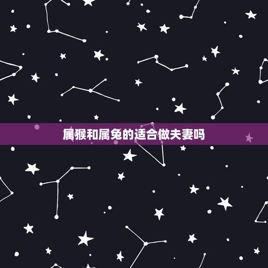 属猴和属兔的适合做夫妻吗,属相婚配:男属猴和女属兔相配吗 属猴和属兔的适合做夫妻吗,属相婚配:男属猴和女属兔相配吗