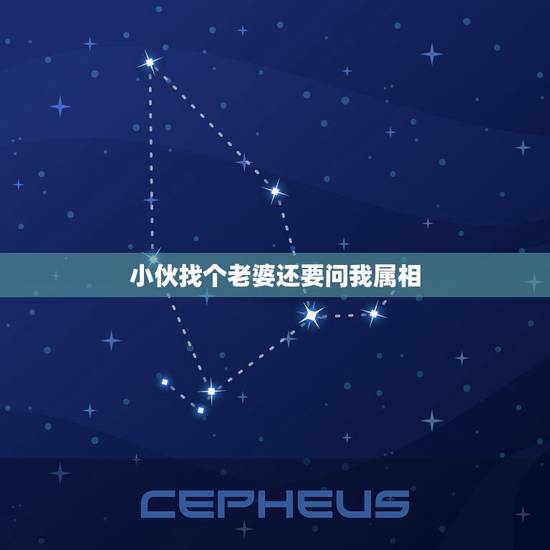 小伙找个老婆还要问我属相，有个女人问男人你怎么不找老婆是什么意思？