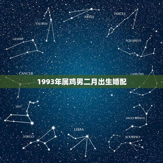 1993年属鸡男二月出生婚配，1993男属鸡的和什么属相最配