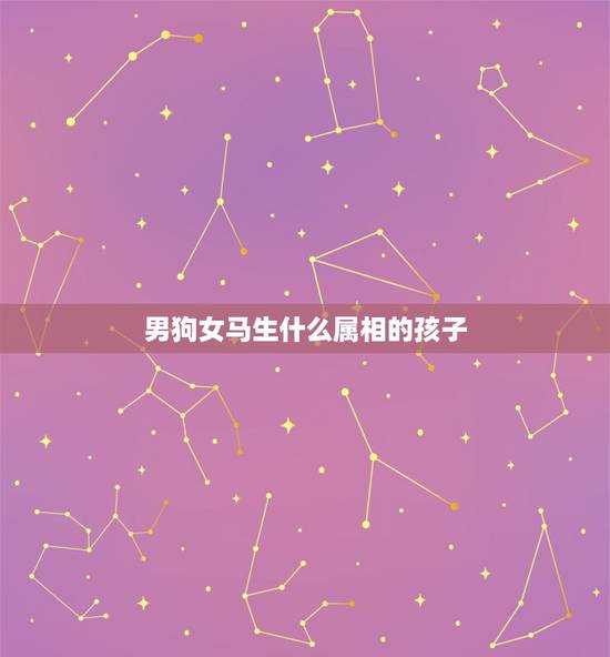 男狗女马生什么属相的孩子，男属兔，女属狗，请问生个孩子属马的好还是属羊