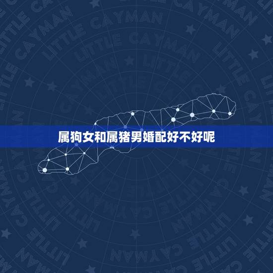 属狗女和属猪男婚配好不好呢,女属狗的和男属猪的婚姻好吗 属狗女和属猪男婚配好不好呢,女属狗的和男属猪的婚姻好吗