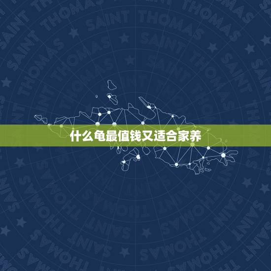 什么龟最值钱又适合家养，家庭适合养什么龟最好