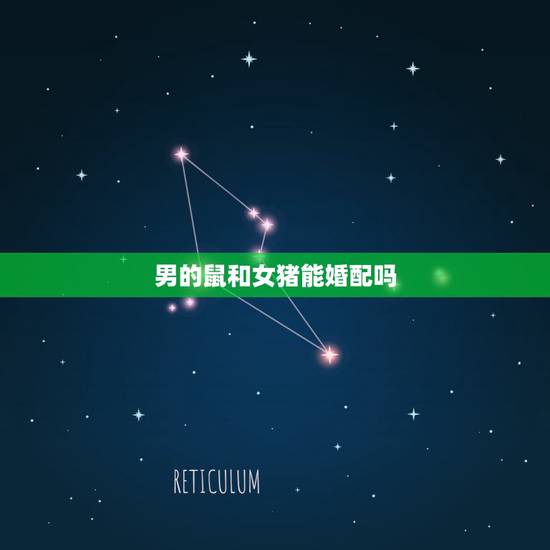 男的鼠和女猪能婚配吗，男鼠年，女猪年，能相配吗？