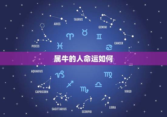 属牛的人命运如何,属牛的人命运好不好? 属牛的人命运如何,属牛的人命运好不好?